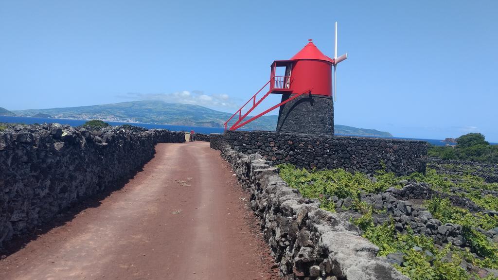 Villa Casas Do Verdelho Madalena (Azores)