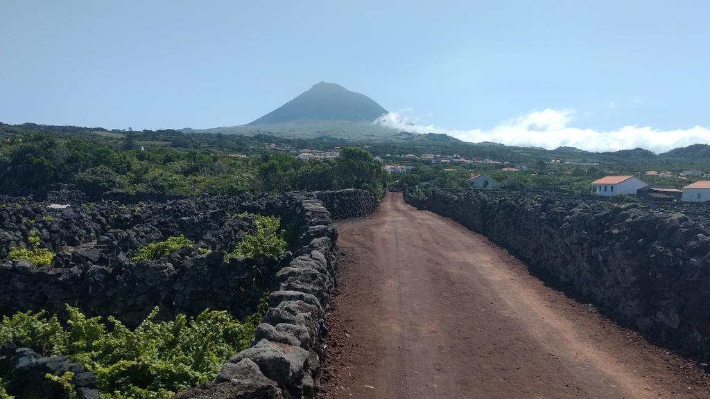 Casas Do Verdelho * Madalena (Azores)