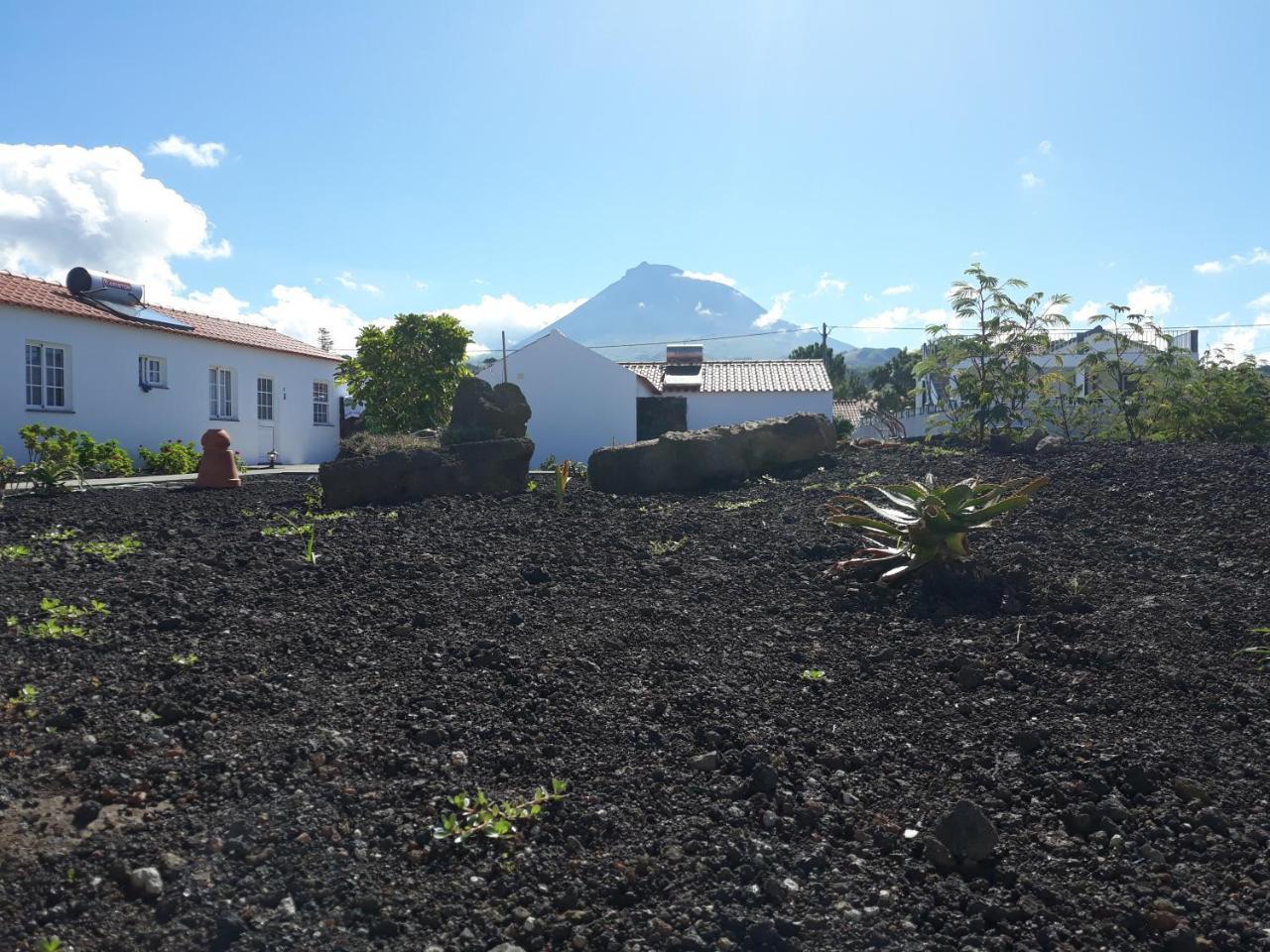 Villa Casas Do Verdelho Madalena (Azores)